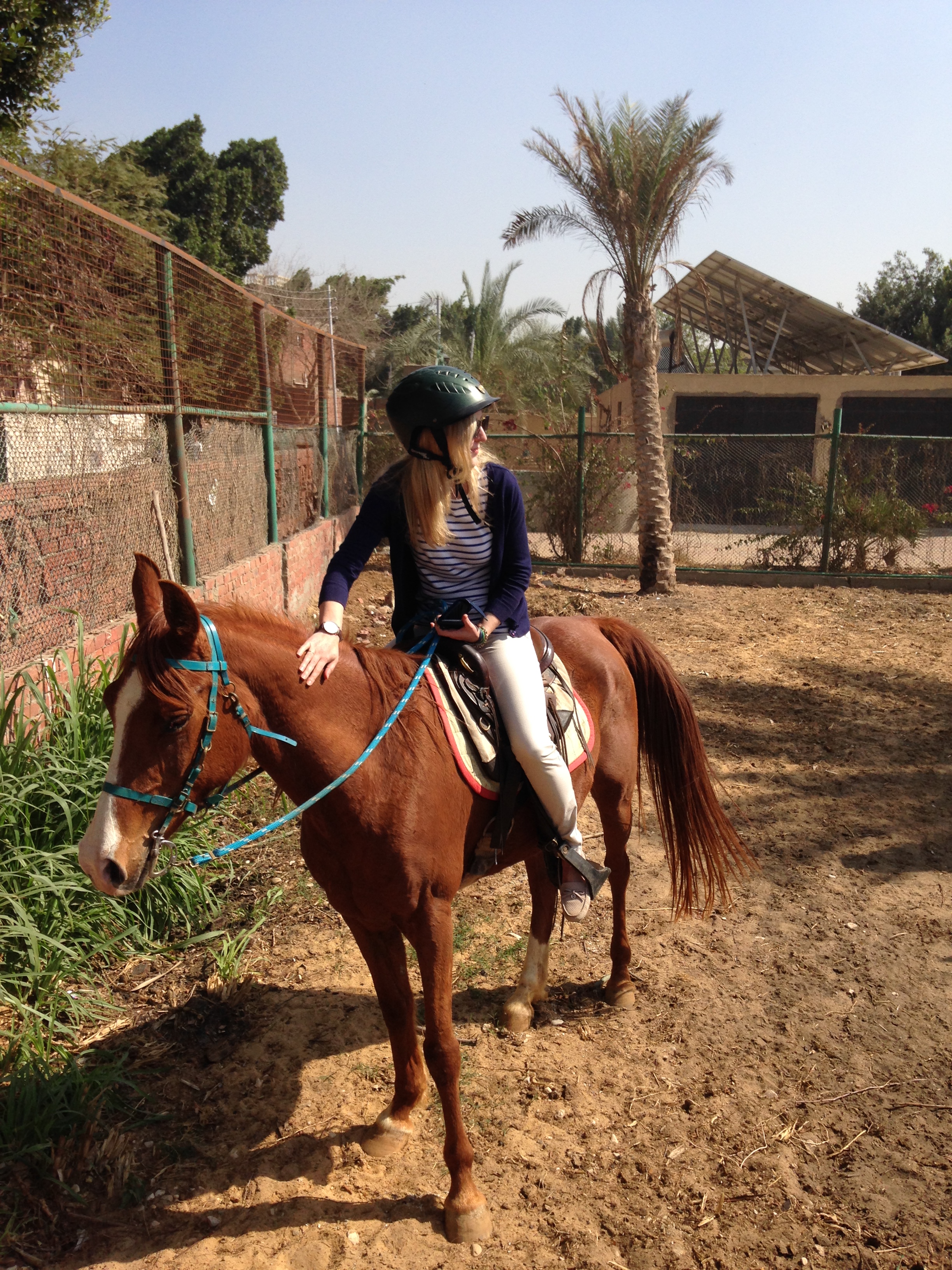 Al Sorat Farm